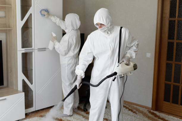 24/7 Emergency Odor Removal experts in Talmage, UT